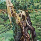 Bernard Bailly, Chêne abattu au Bois d'Amour, Pont-Aven, 2021, Peinture acrylique sur toile, 100 x 70 cm